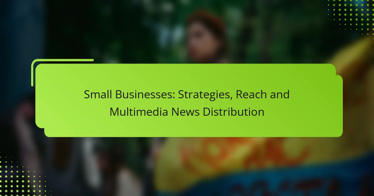 Small Businesses: Strategies, Reach and Multimedia News Distribution